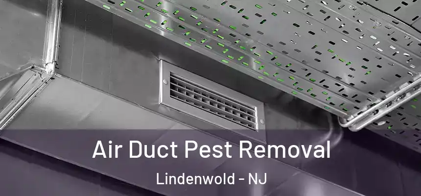  Air Duct Pest Removal Lindenwold - NJ