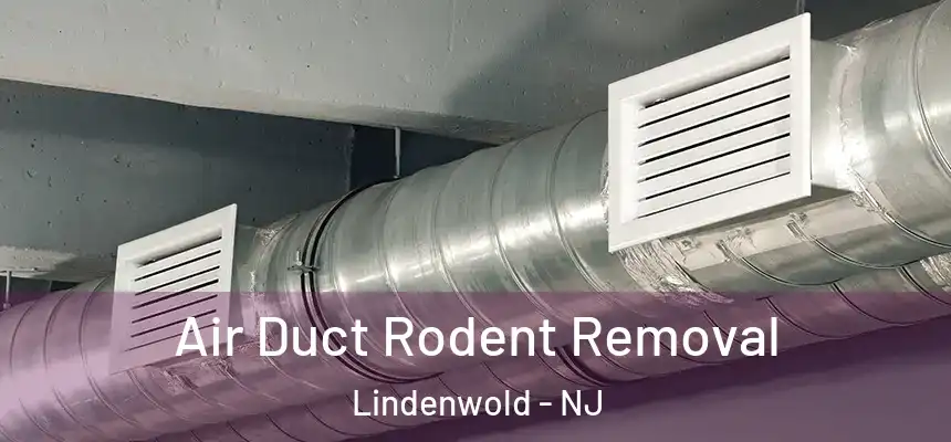  Air Duct Rodent Removal Lindenwold - NJ