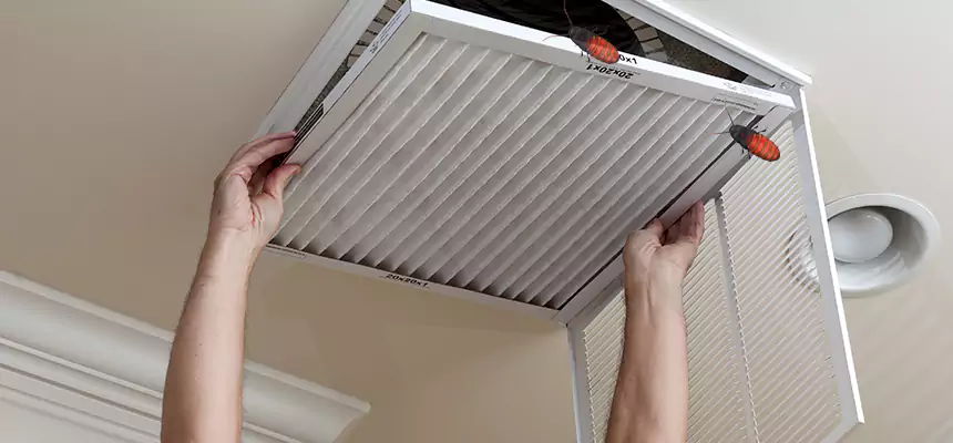 Preventive Cockroach-Proofing for Ducts in Lindenwold