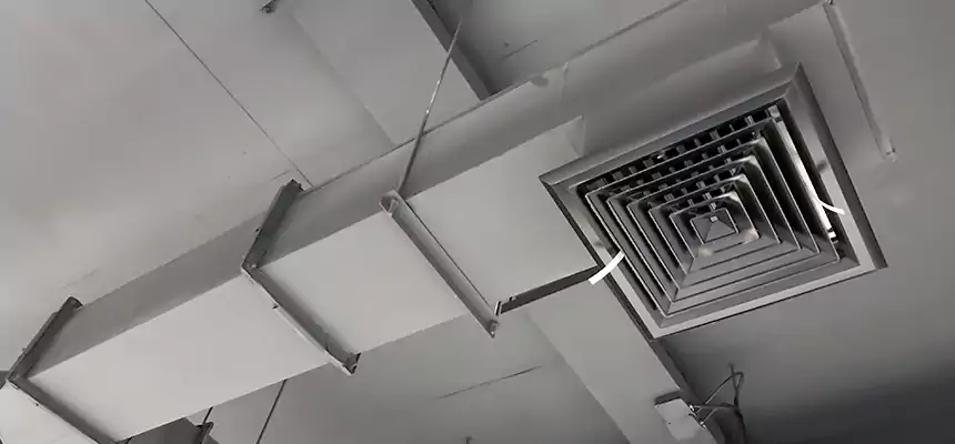 Our Rodent Droppings In Vents Services in Lindenwold, NJ