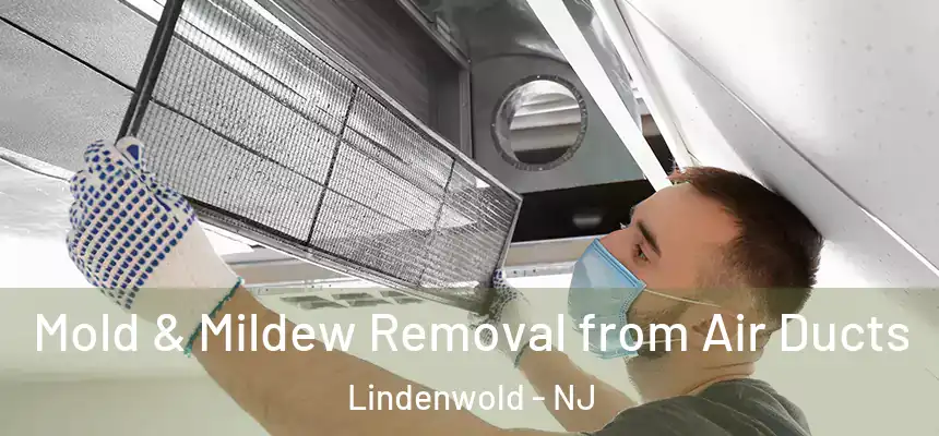  Mold & Mildew Removal from Air Ducts Lindenwold - NJ