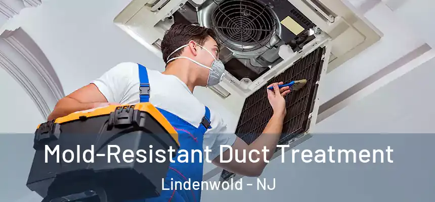  Mold-Resistant Duct Treatment Lindenwold - NJ