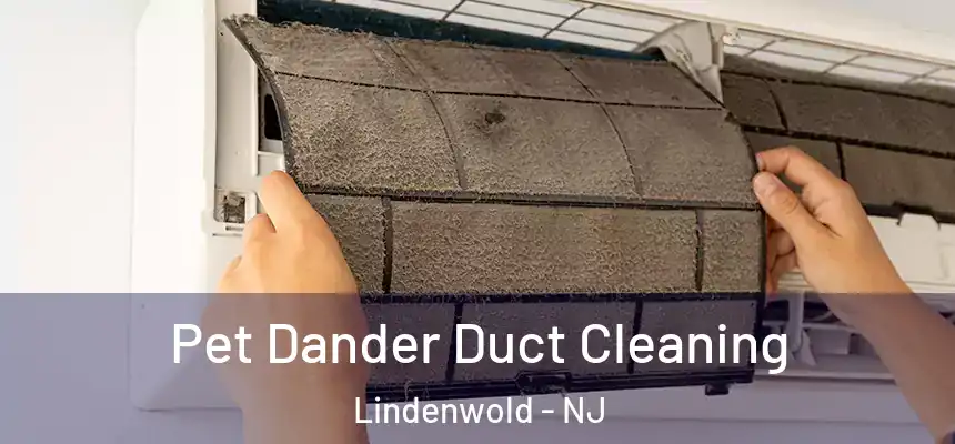  Pet Dander Duct Cleaning Lindenwold - NJ