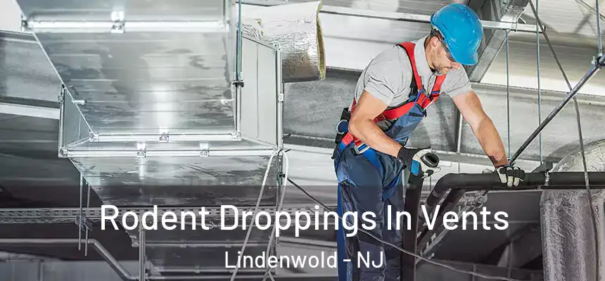 Rodent Droppings In Vents Lindenwold - NJ