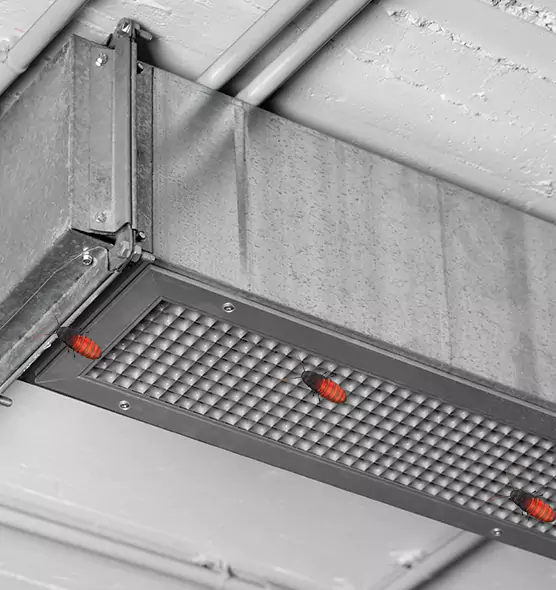 Affordable Insect Removal from Air Ducts in Lindenwold, NJ