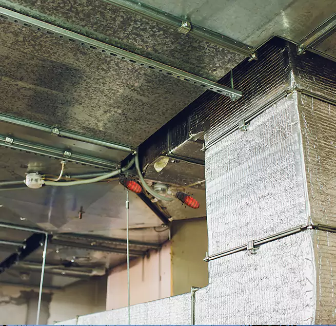 Why Homeowners & Businesses Trust Us in Lindenwold, NJ?