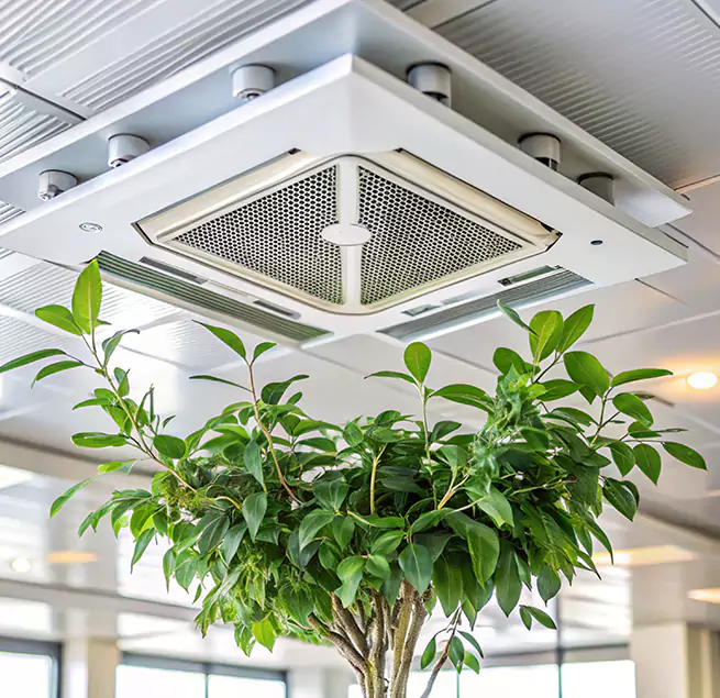 Why Homeowners & Businesses Trust Us in Lindenwold, NJ